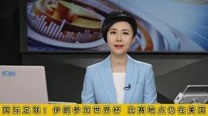 成都蓉城战胜山东泰山展现强大实力